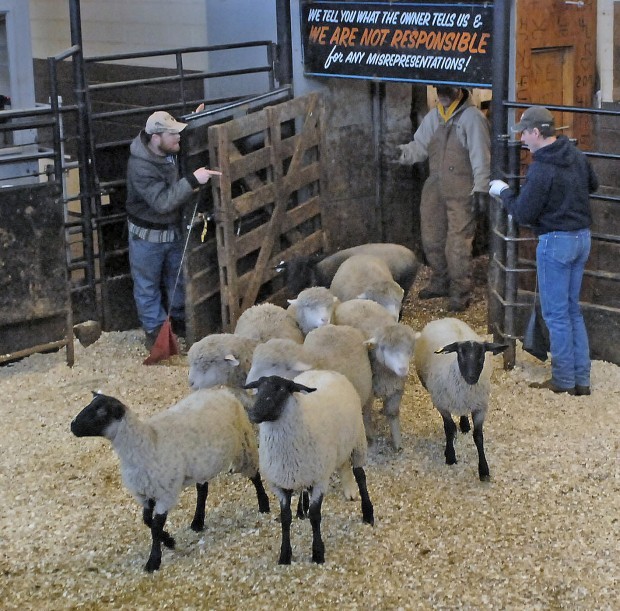 Kist Livestock Expands As Other Sales Barns Close Bismarck