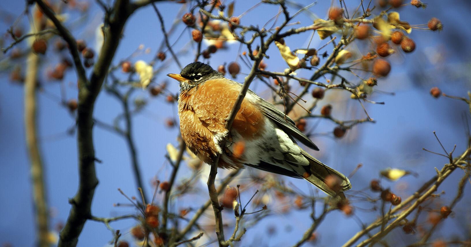 Light snow, ice forecast for Good Friday in North Dakota - Vimarsana News