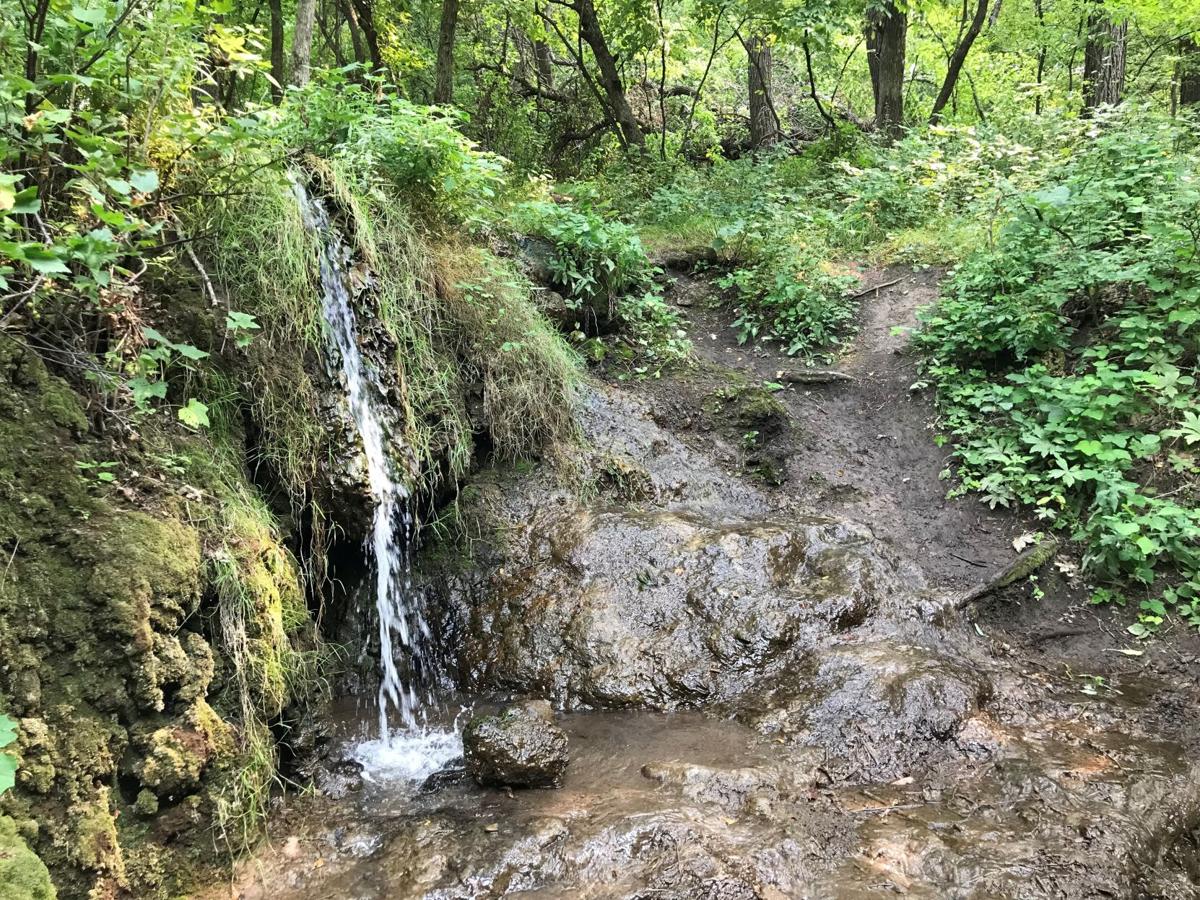 Speaking out Sheyenne River Forest is another North Dakota hidden gem