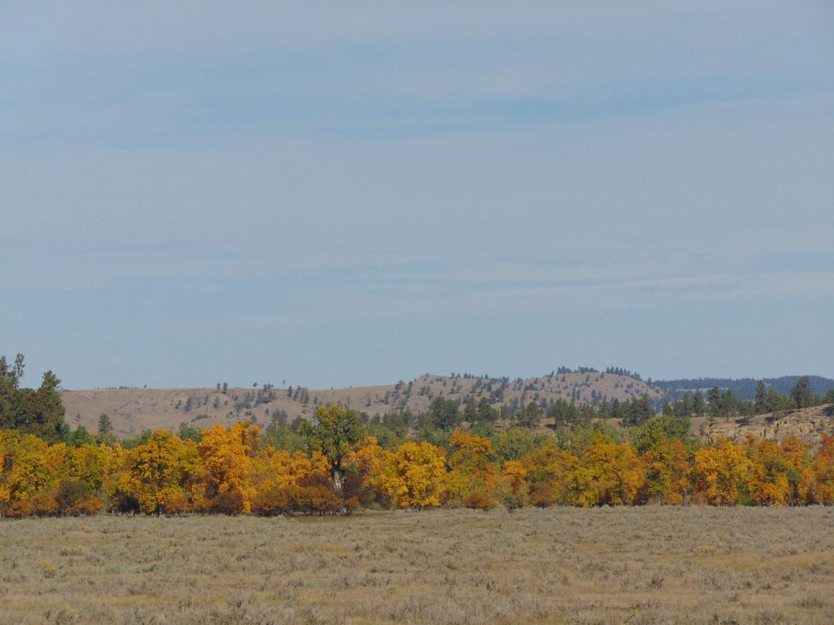 Colorful Fall
