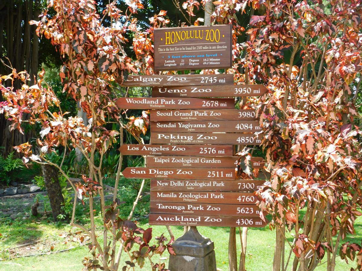 Which Zoo should you go to?