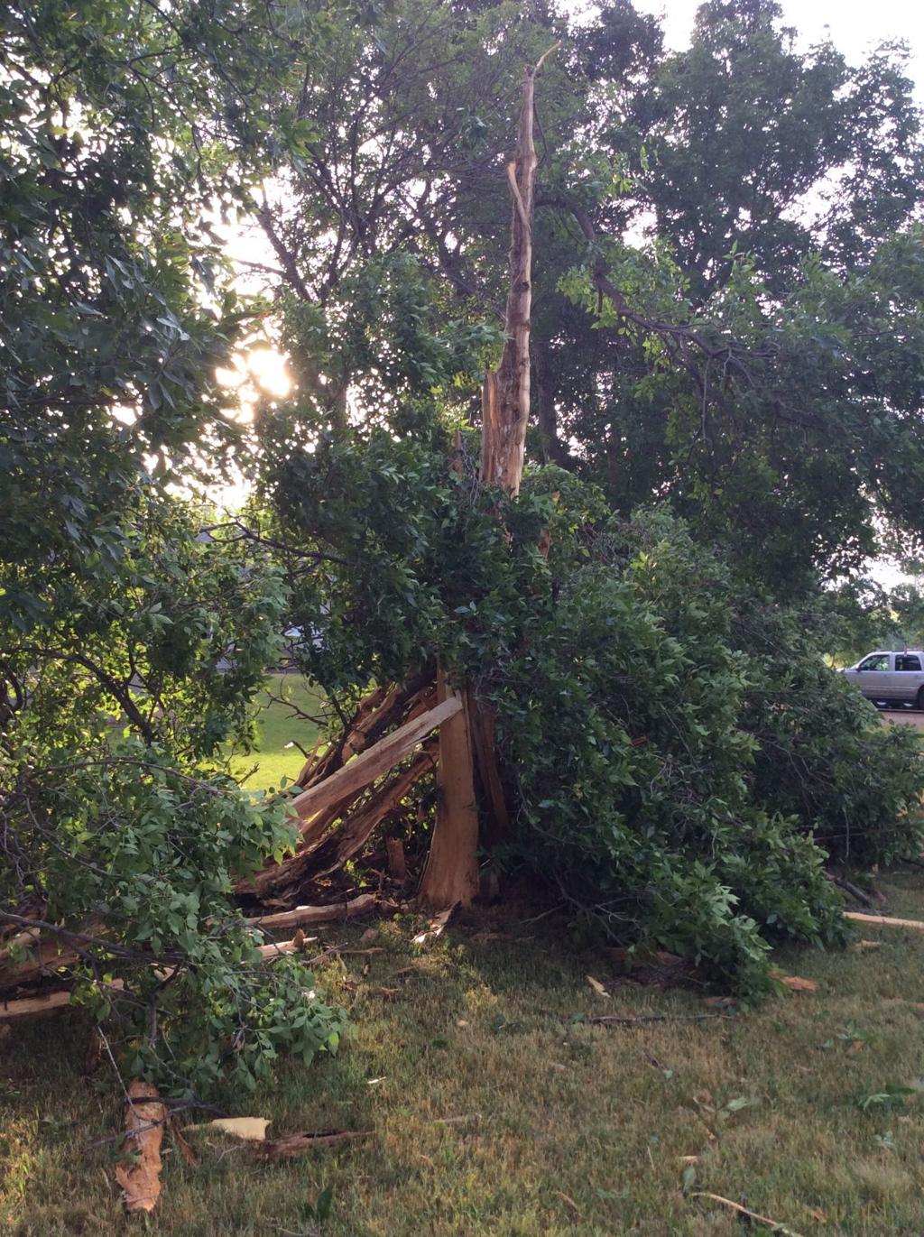 Sunday Storms Bring Rain Some Damage Bismarck Bismarcktribune Com