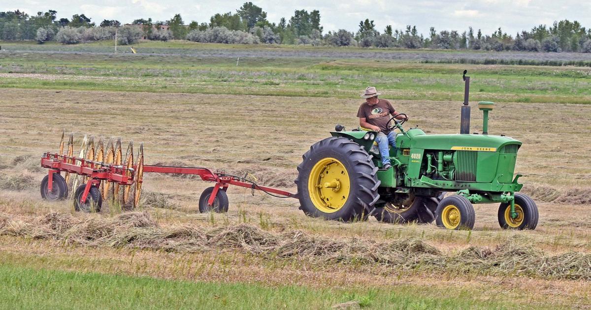 Emergency CRP haying available in some North Dakota counties as drought expands Emergency CRP haying available in some North Dakota counties as drought expands