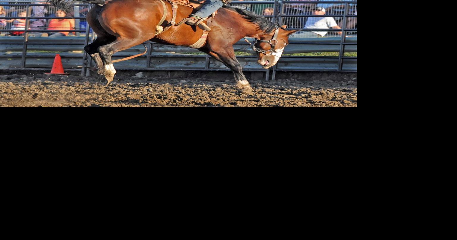 Brunson wins saddle bronc competition