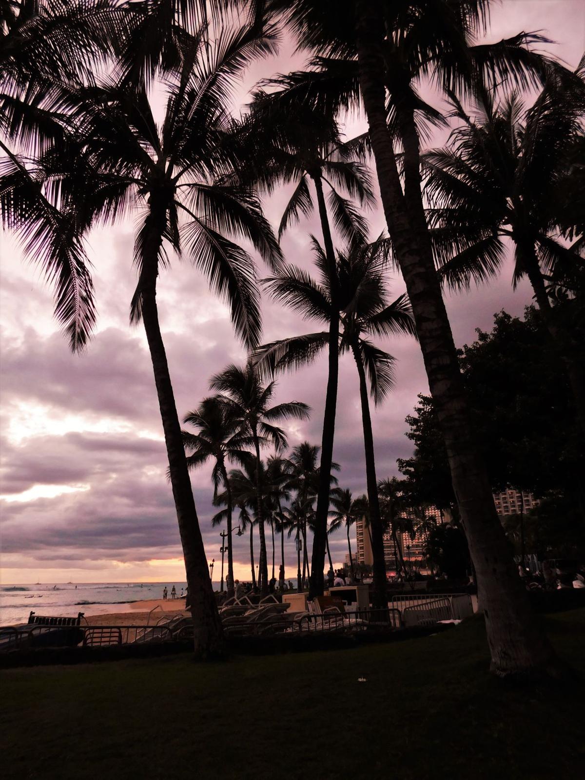 Evening on Waikiki Beach