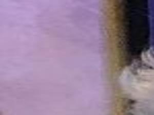 Patricia Clairmont Bismarck Obituaries Bismarcktribune Com