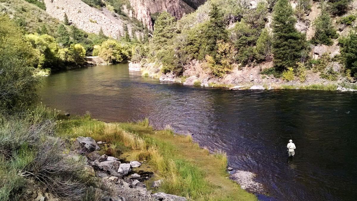 Fly Fishing