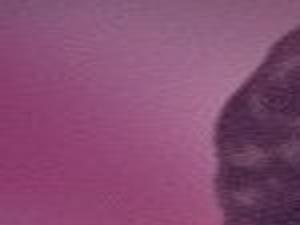 Linda Lindsay Bismarck Obituaries Bismarcktribune Com