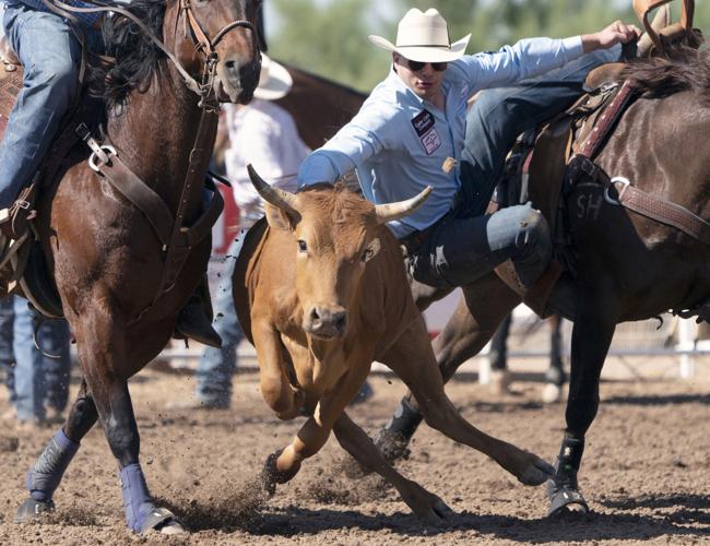 Steer wrestler Anderson climbing the rankings