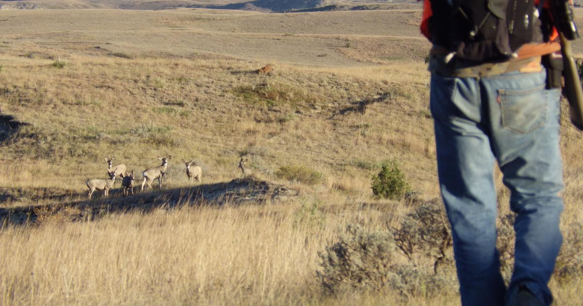Licenses remain after North Dakota deer gun lottery