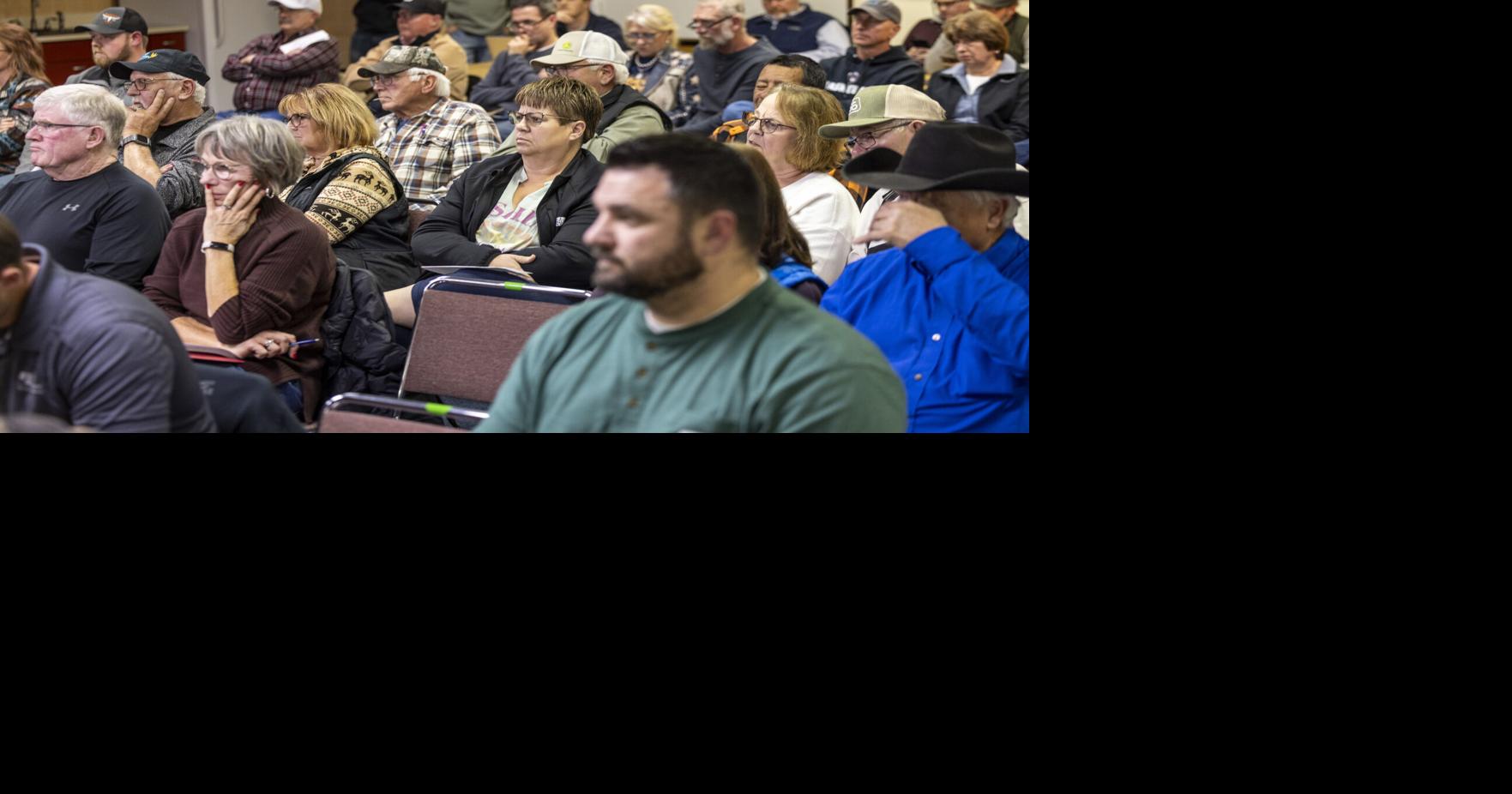 $791 million Morton-Mercer wind project set for public hearing before PSC