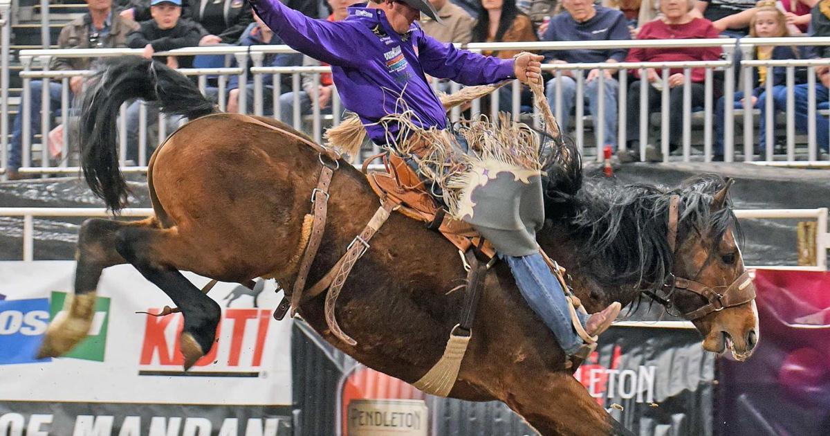 An 88 gives Whitt bull riding title