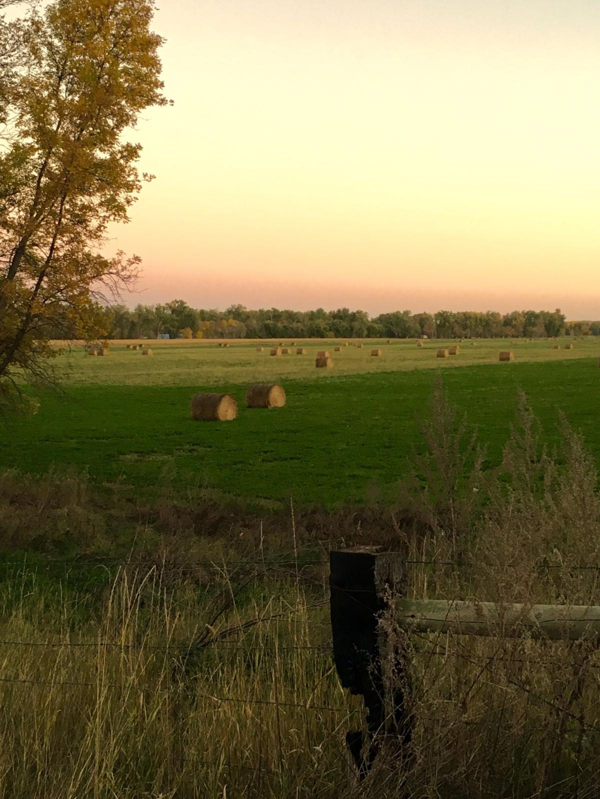 Dusk, My favorite time of Day