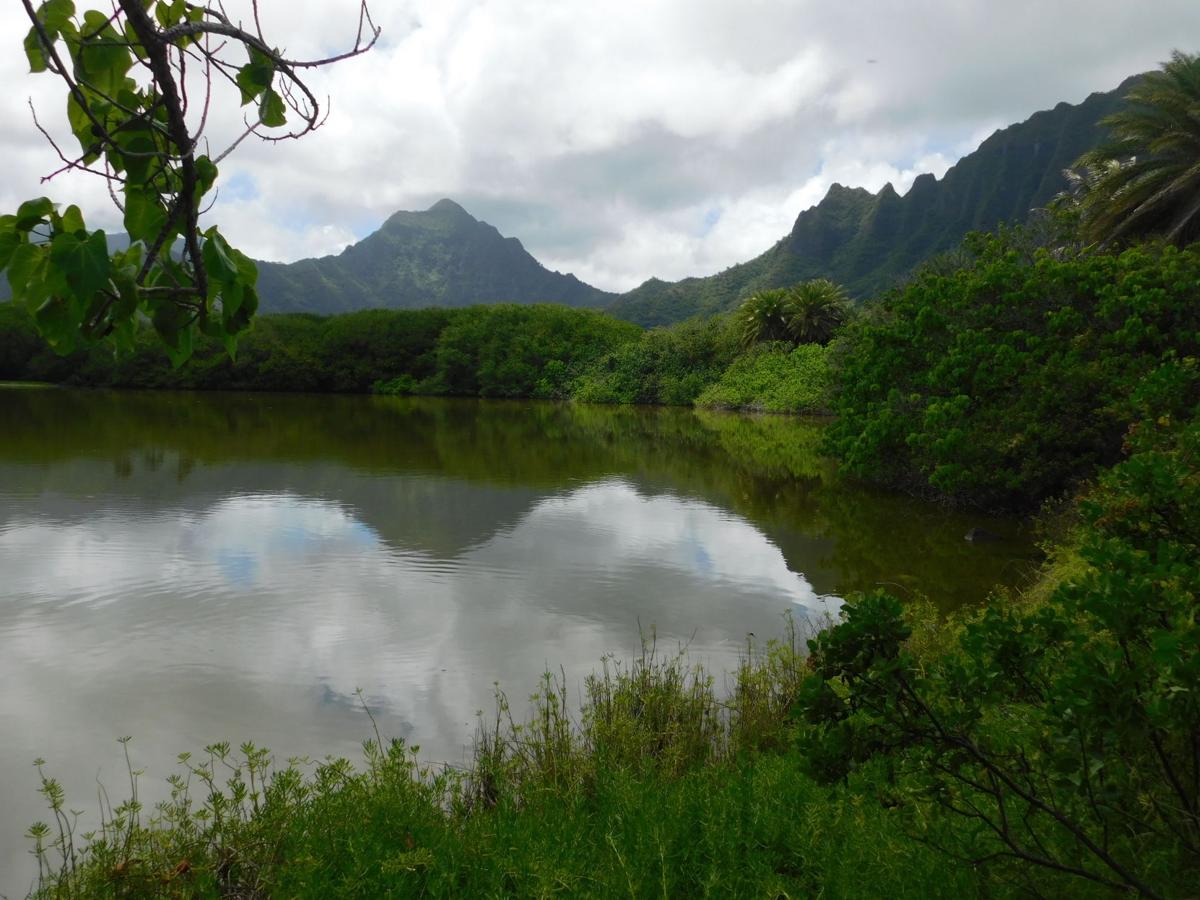 Kualoa Regional Park
