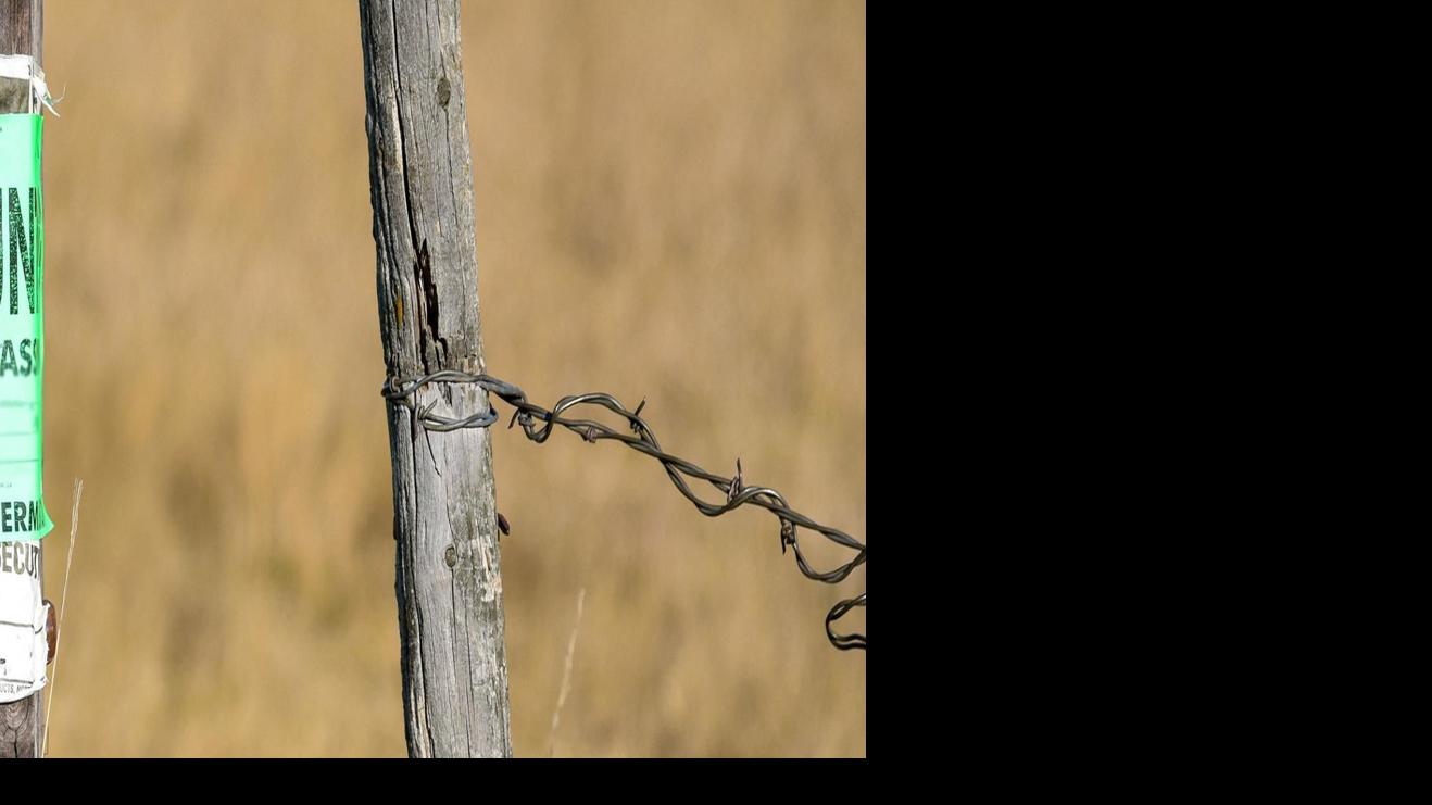 photo Another Day Another Doug Meaning 2