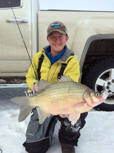 Devils Lake angler catches potential world record white bass