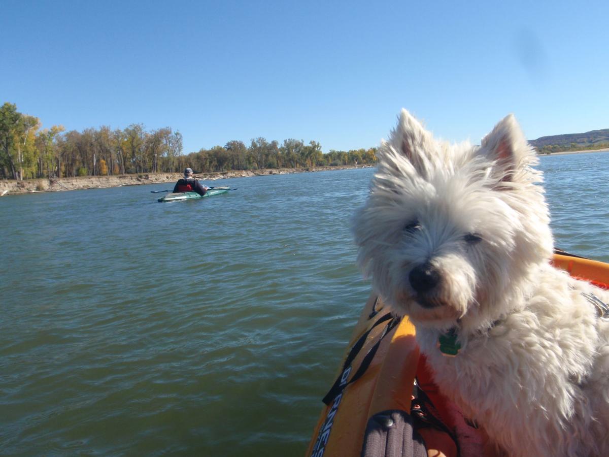 Kayaking
