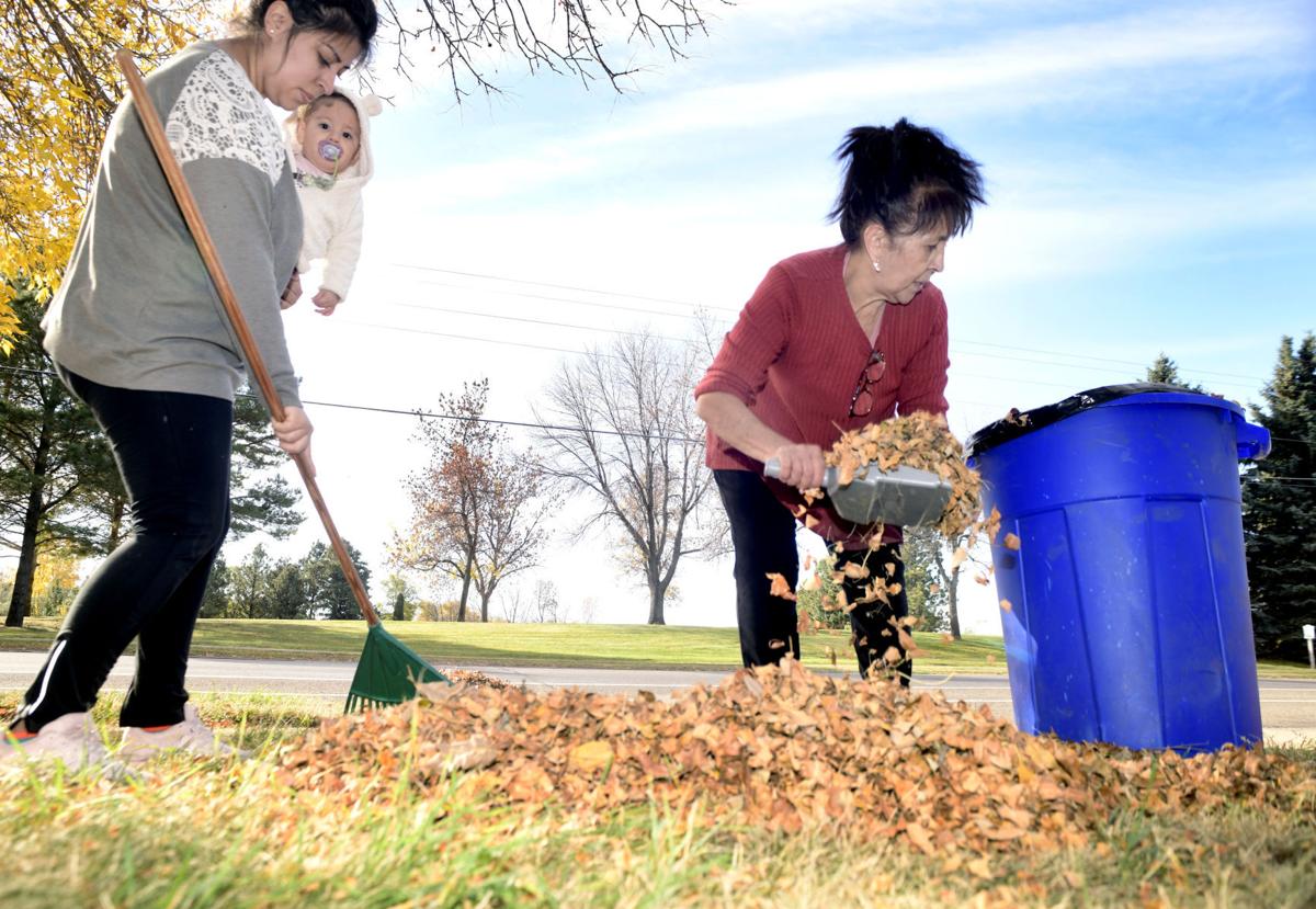 1013E20-nws-fall-raking