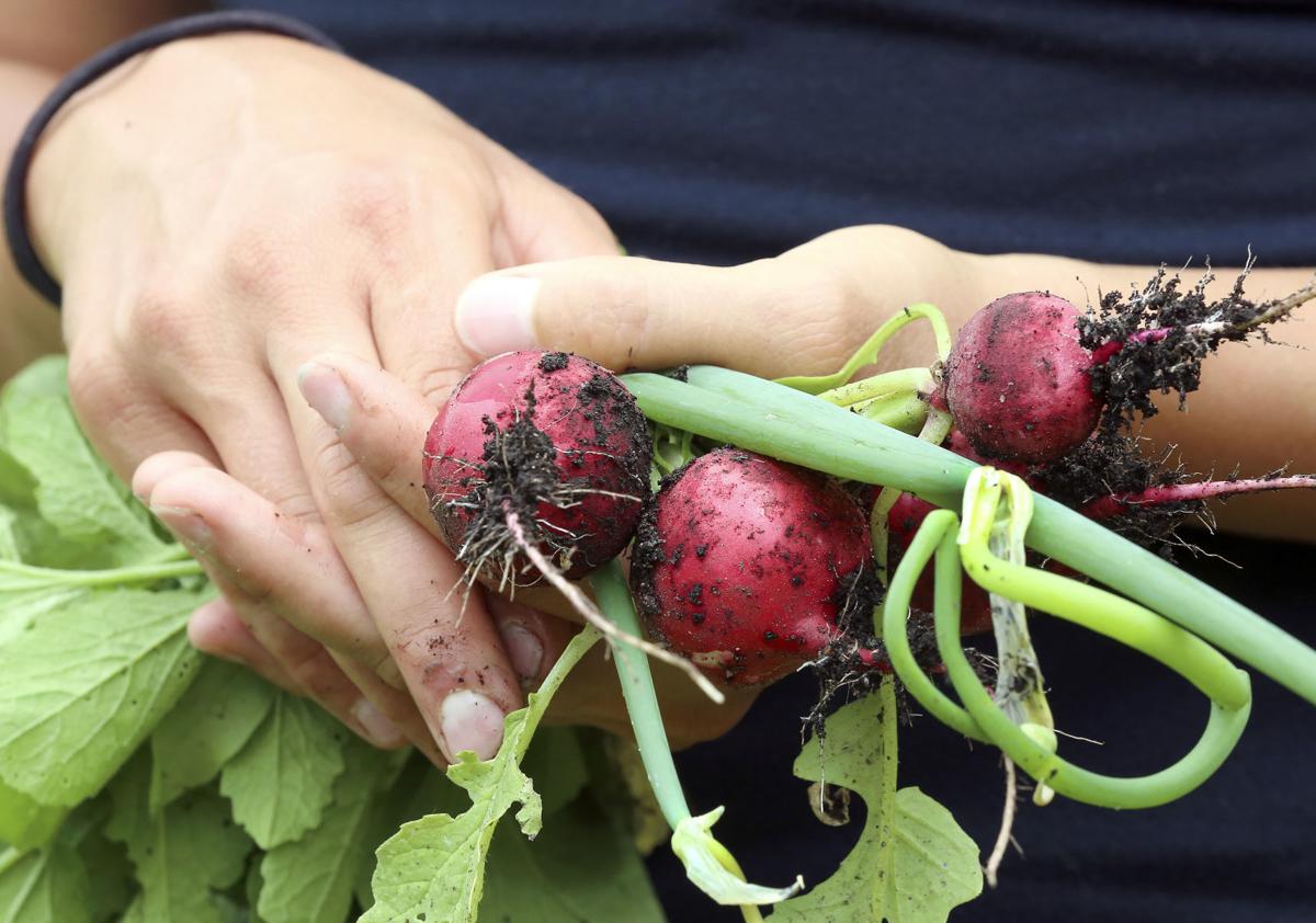 Duluth woman aims to reduce footprint, inspire others with zero waste lifestyle | State