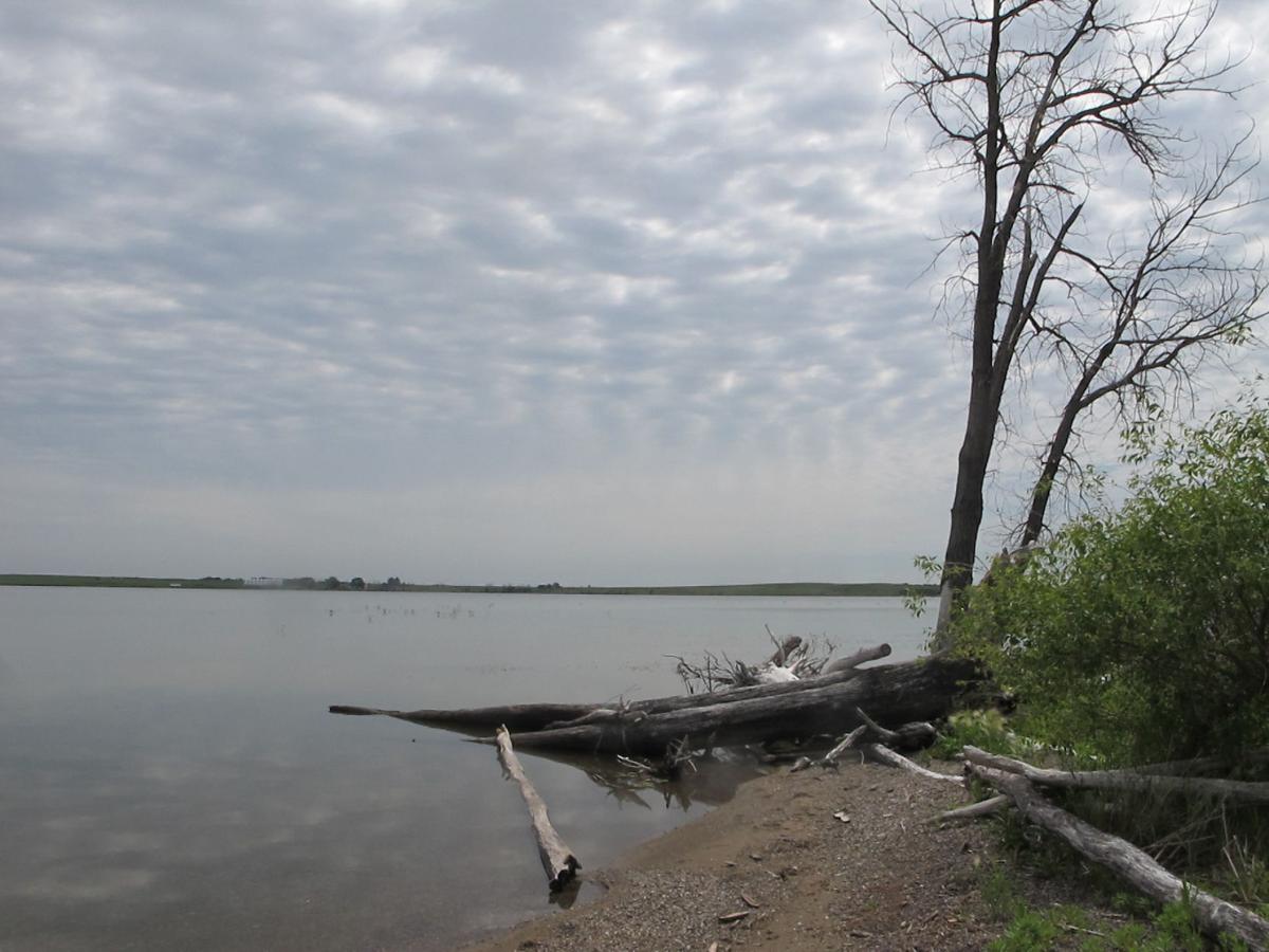 Walleye, lakes on the rise in North Dakota State & Regional