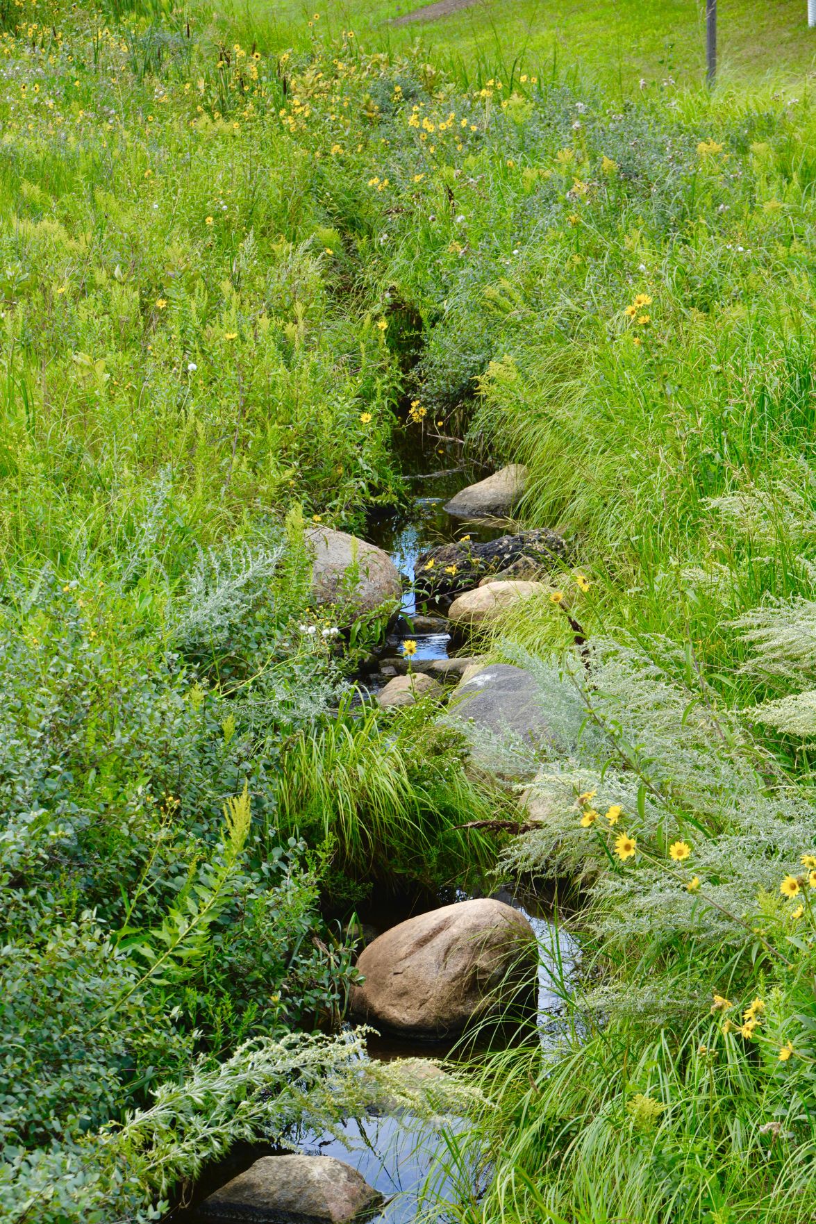 Small stream