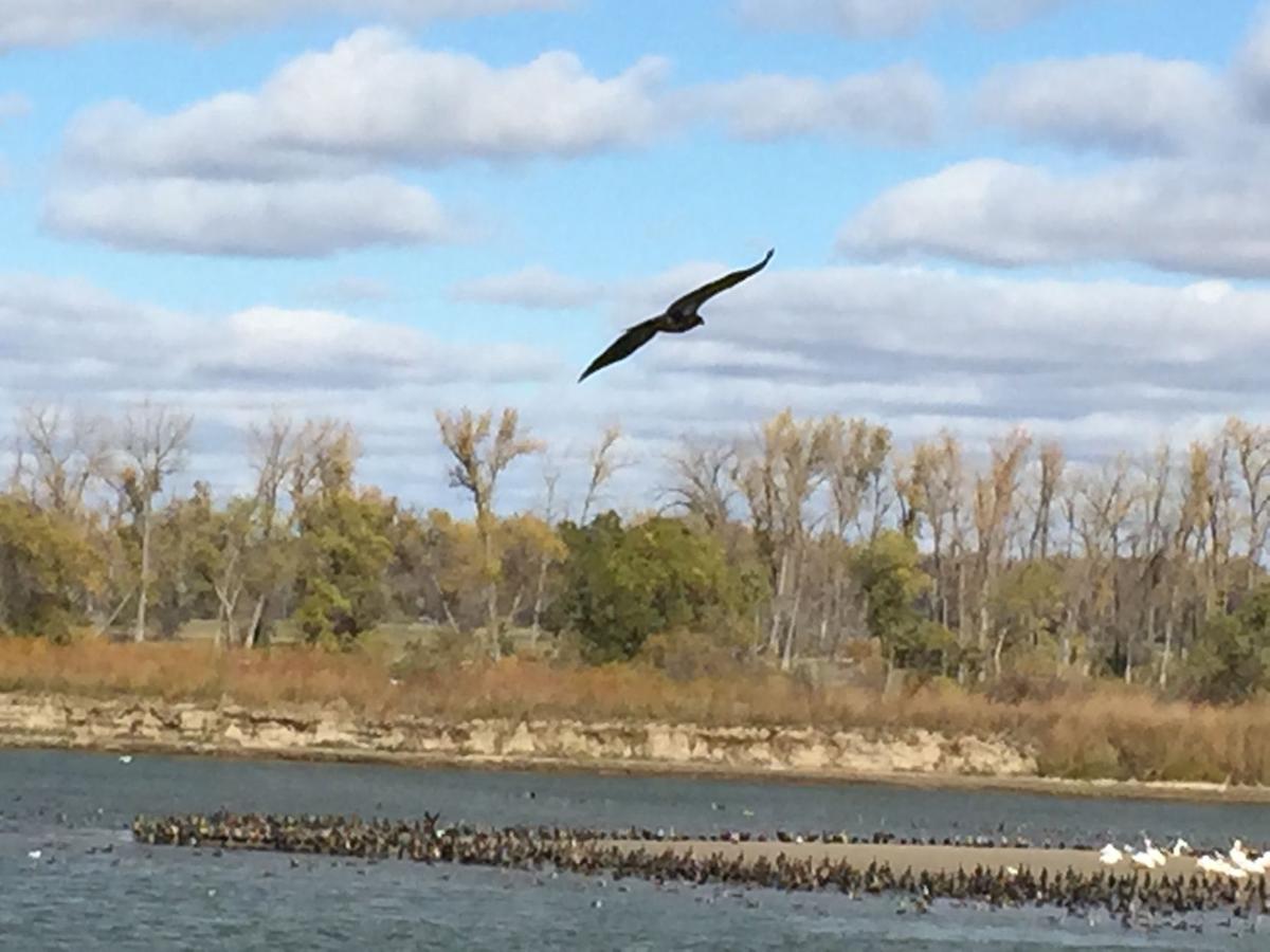Migration in progress