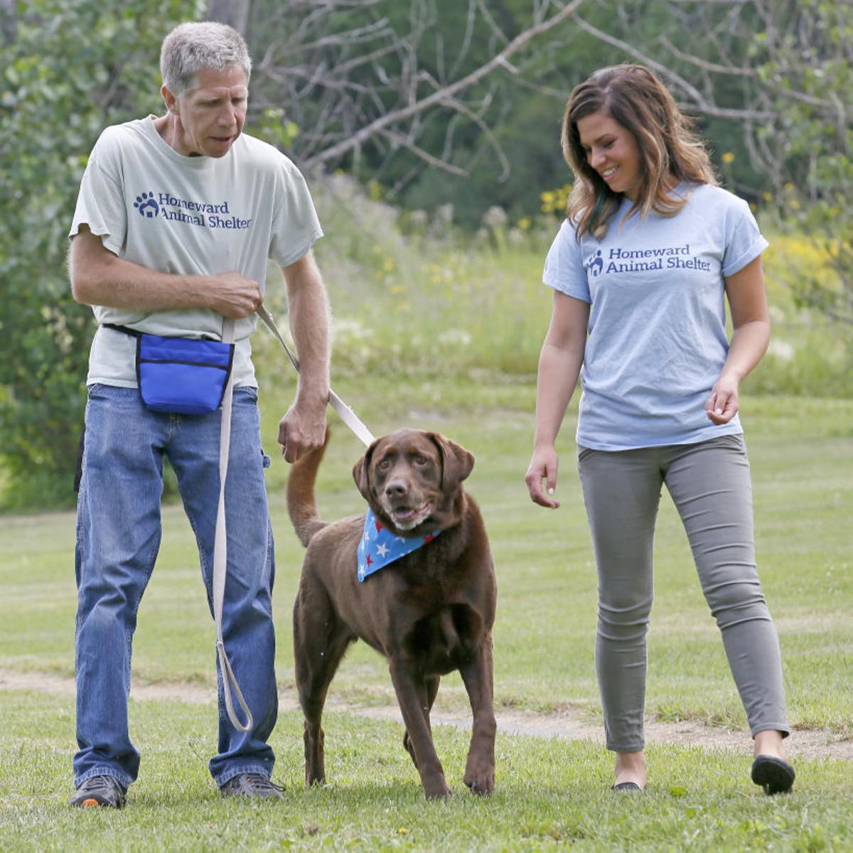 Growing Fargo Animal Shelter In New Age Bismarcktribune Com