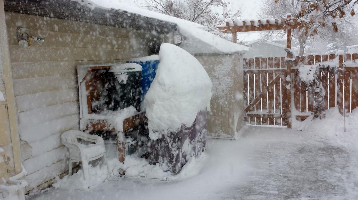 Grilling? Not!