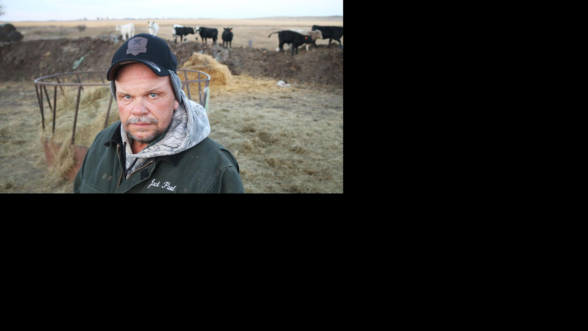 Livestock killings near protest camp gain attention State & Regional