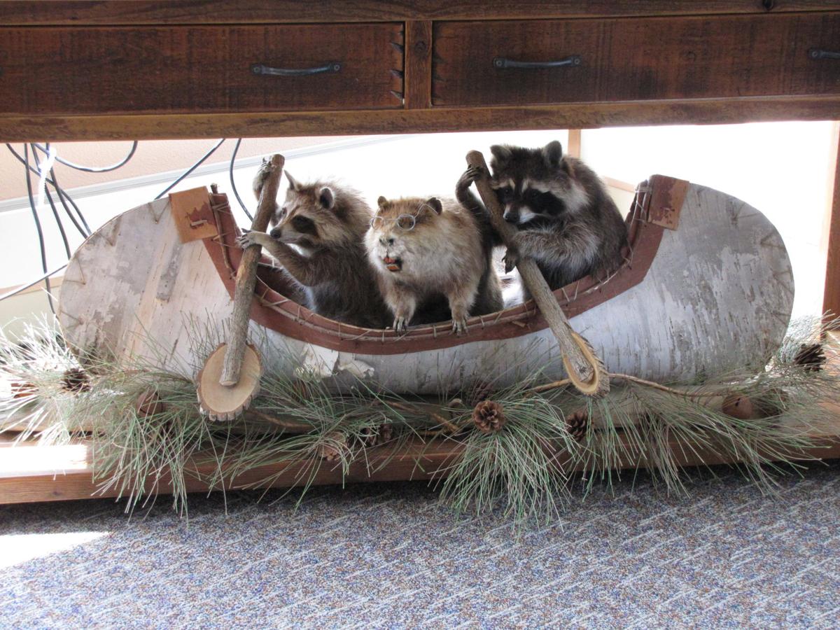 Critter Welcome!