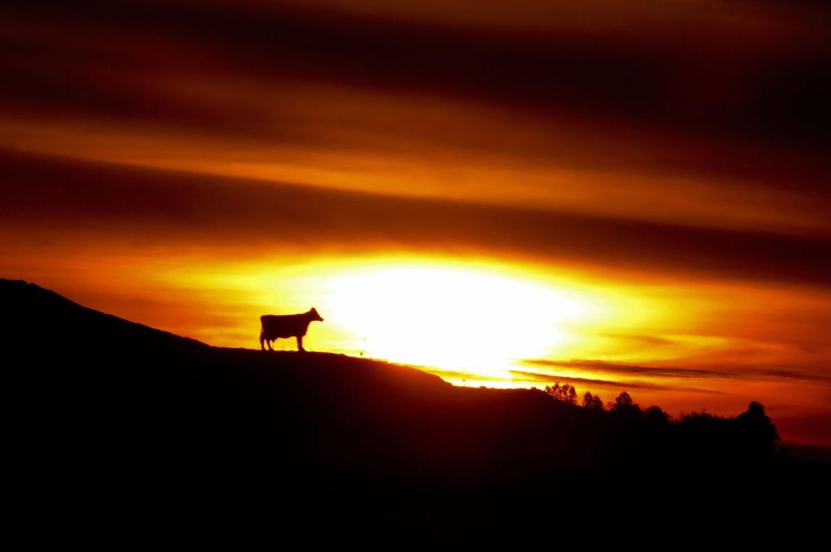 October Blaze
