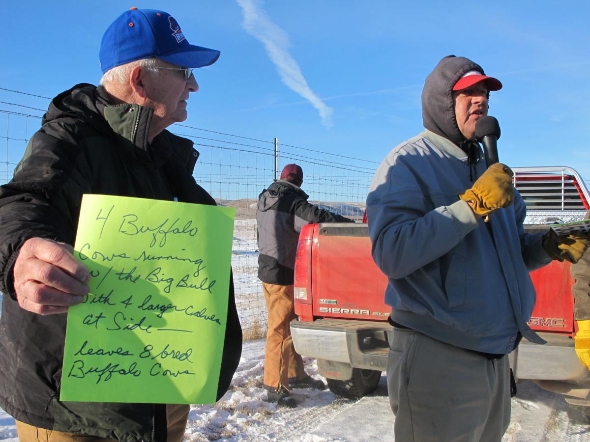 Buffalo auction draws buyers to Zap State & Regional