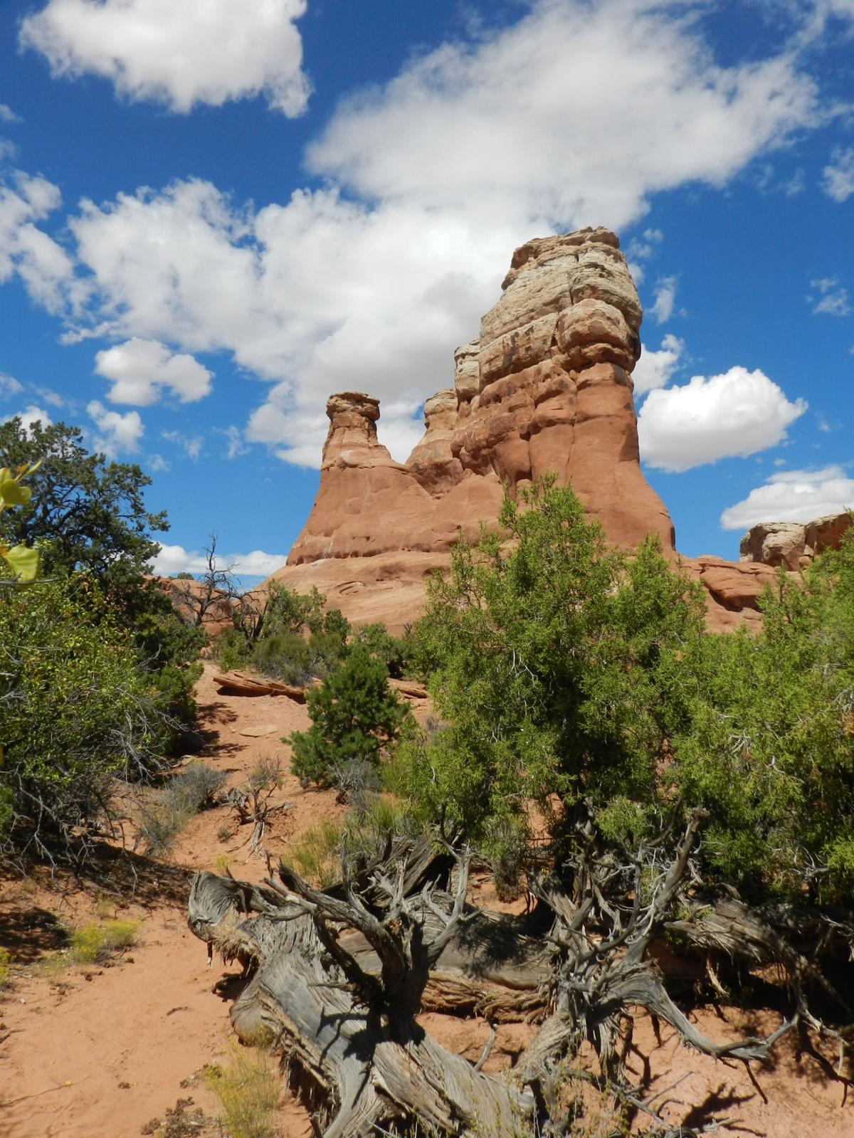 Arches National Park