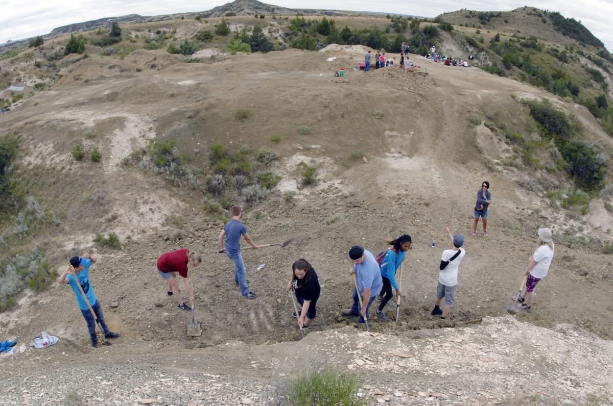 fossil dig site