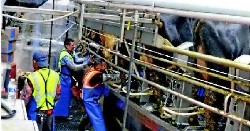 Opponents, state spar over large dairy permit
