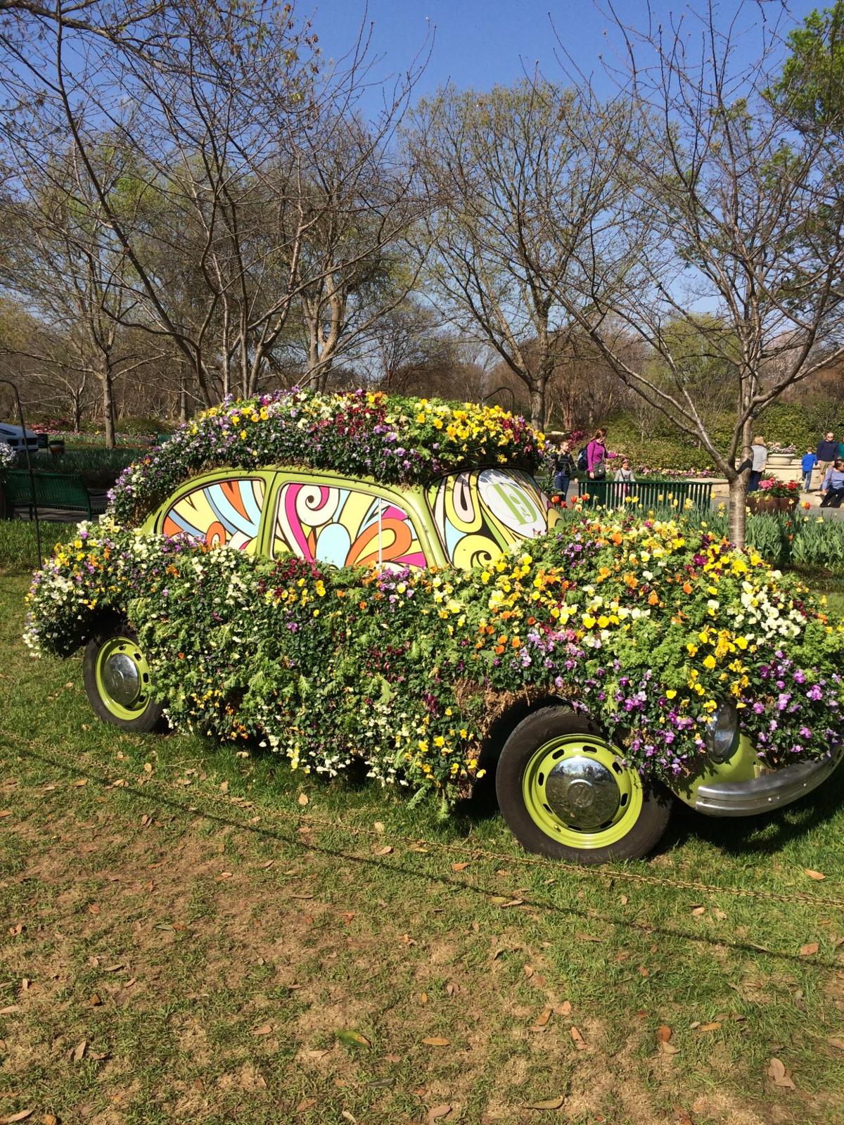 Dallas Arboretum
