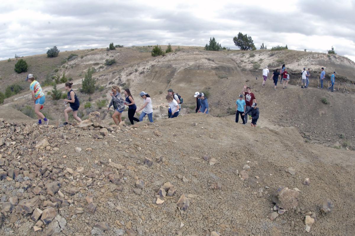 Fossil dig at Medora Tribune Photo Collections