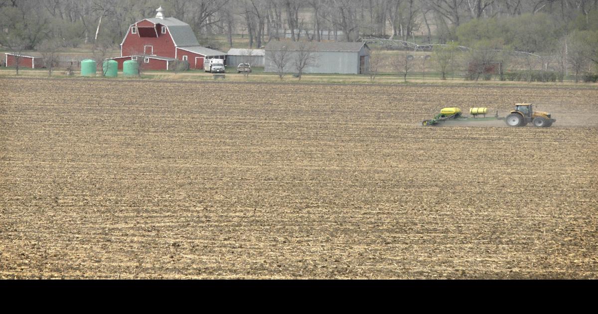 North Dakota cropland rents, values increase modestly