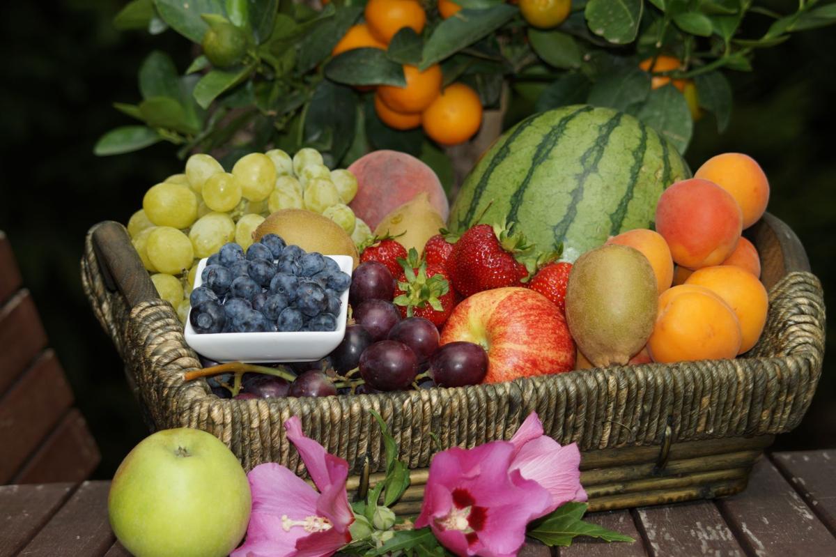 Fruit Diet
