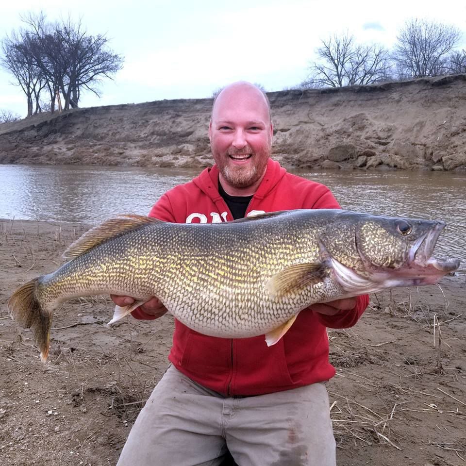 Game and Fish looking into state record walleye