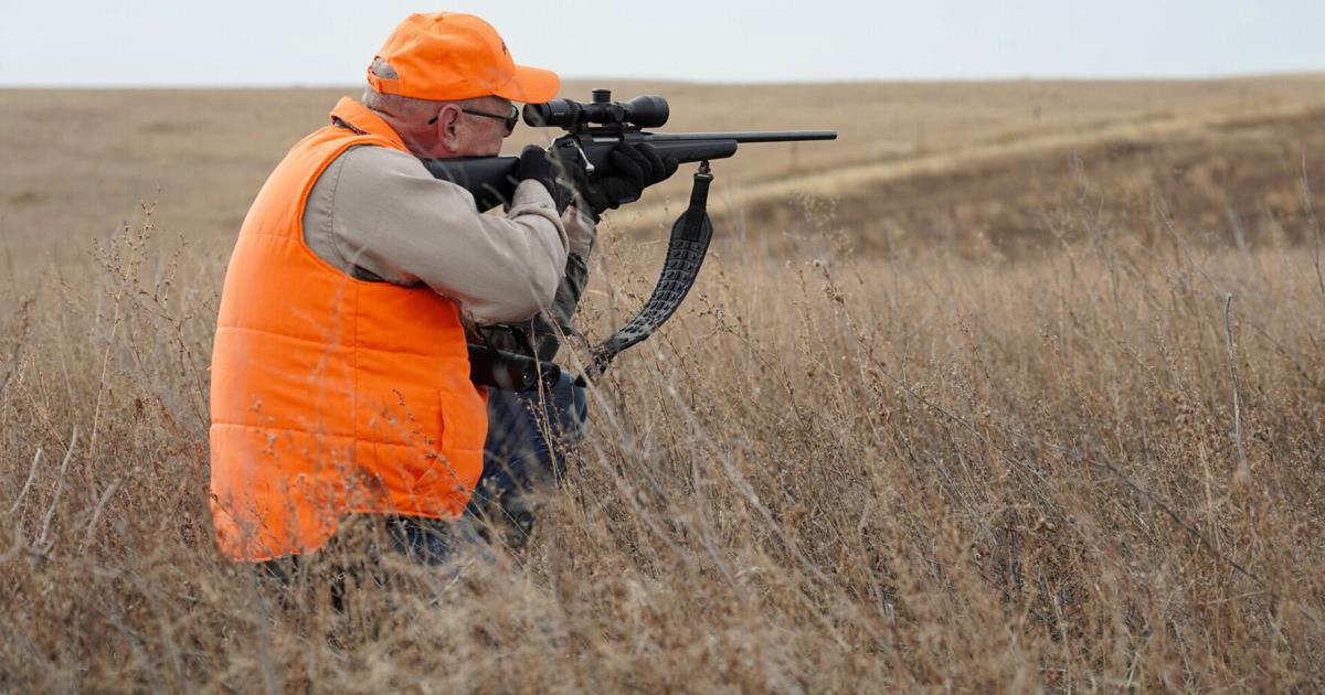Deer licenses remain in North Dakota after lottery