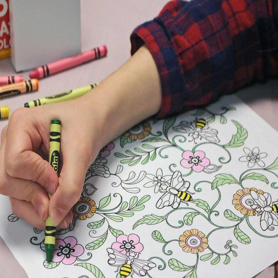 Adult Coloring Craze Hits Bismarck Community