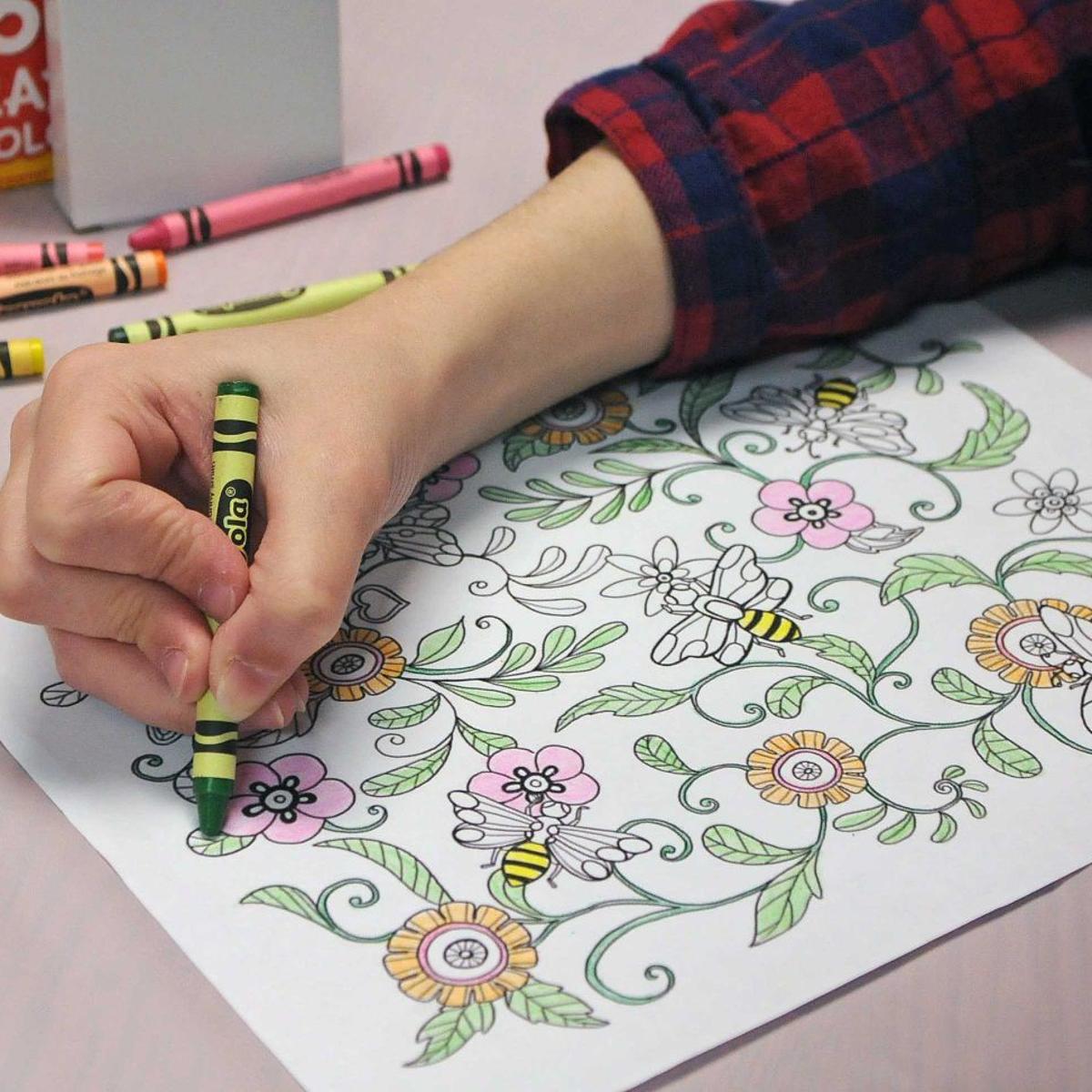 Adult Coloring Craze Hits Bismarck Community