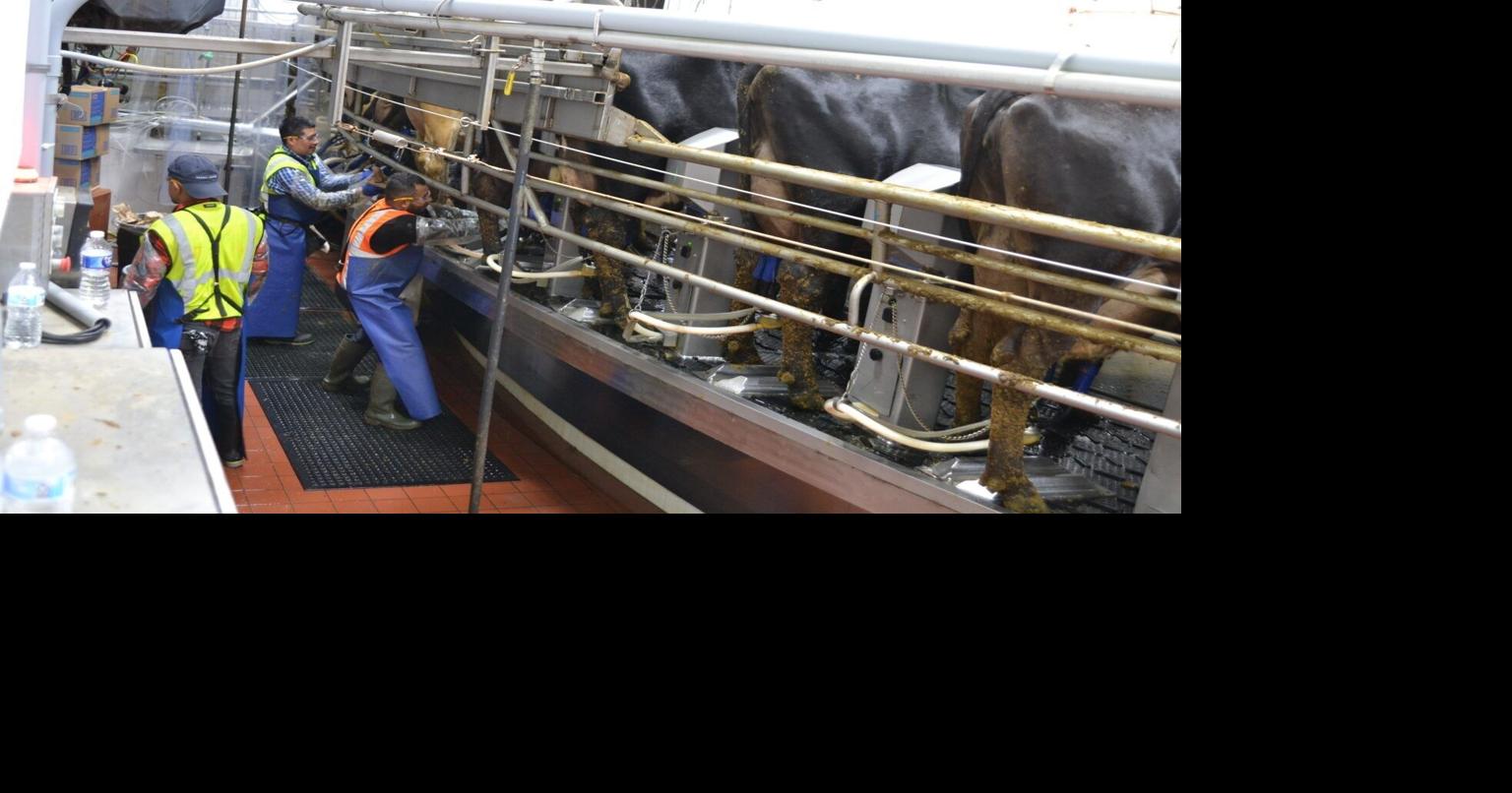 Opponents of giant North Dakota dairy argue for permit reversal JEFF BEACH North Dakota Monitor Jul 14, 2026 30 mins ago