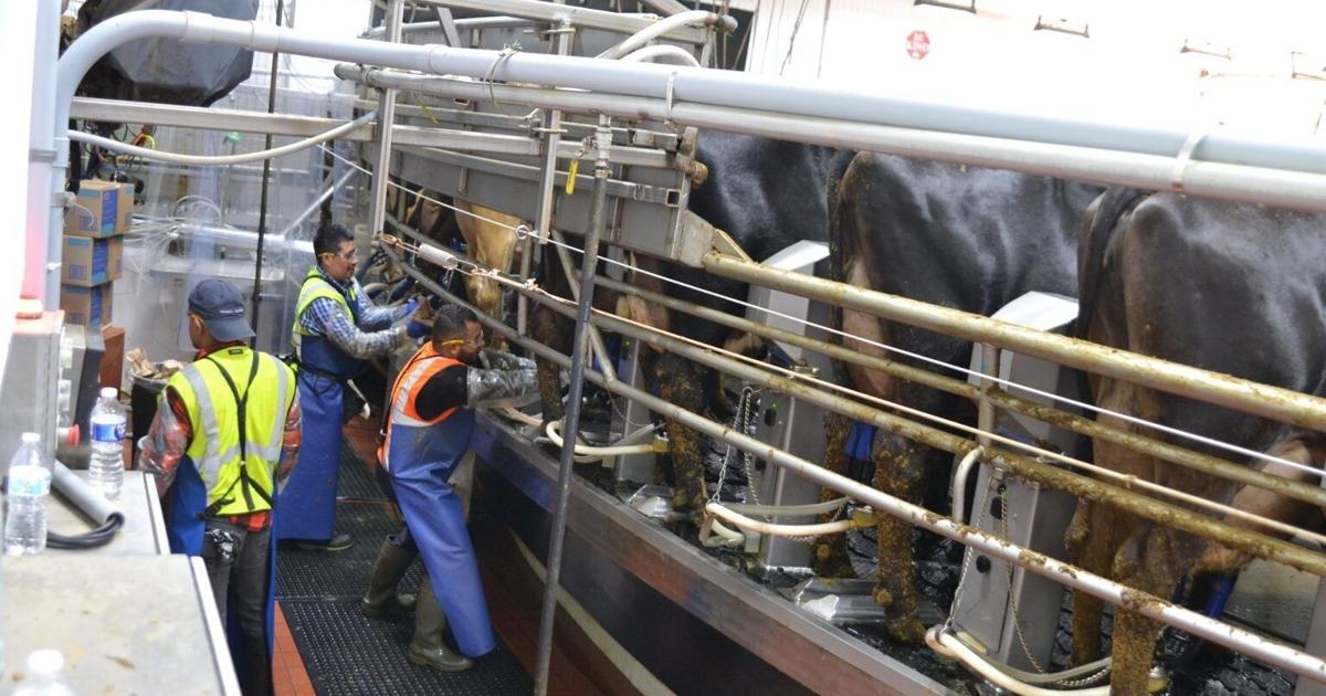 Opponents of giant North Dakota dairy argue for permit reversal JEFF BEACH North Dakota Monitor Jul 14, 2026 30 mins ago