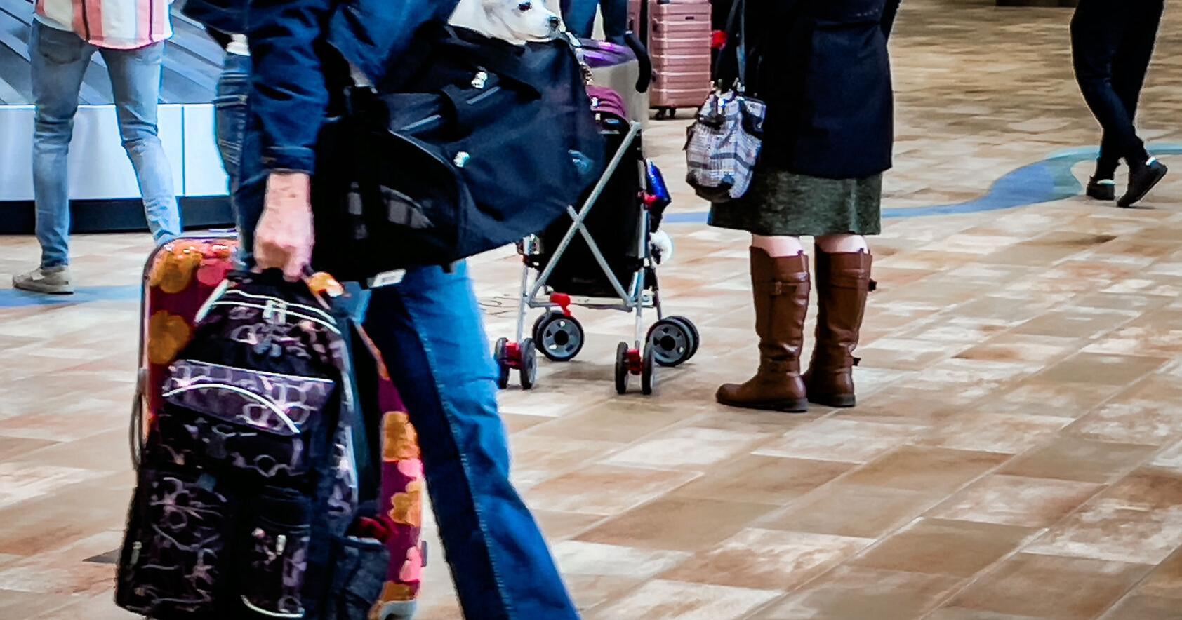 February airline boardings up in North Dakota - Vimarsana News