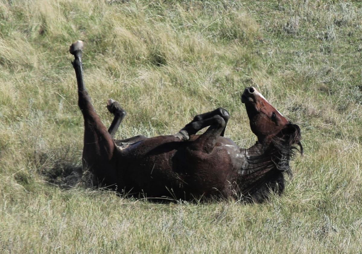 A Mud Bath