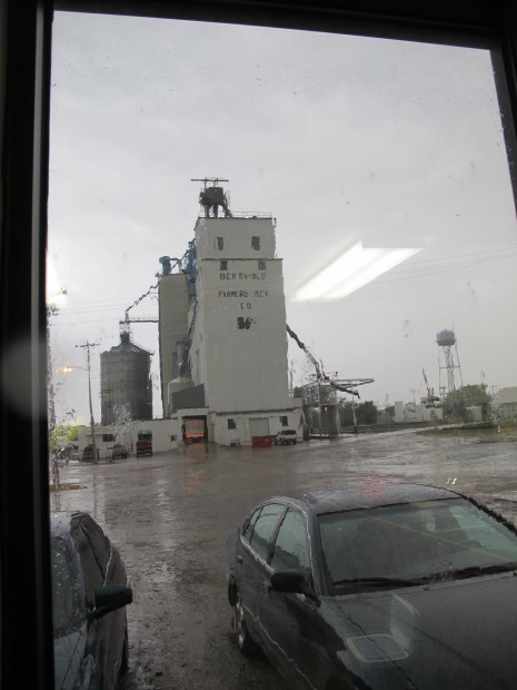 Wheat and oil