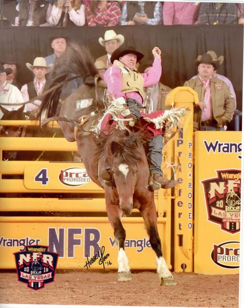 Rodeo