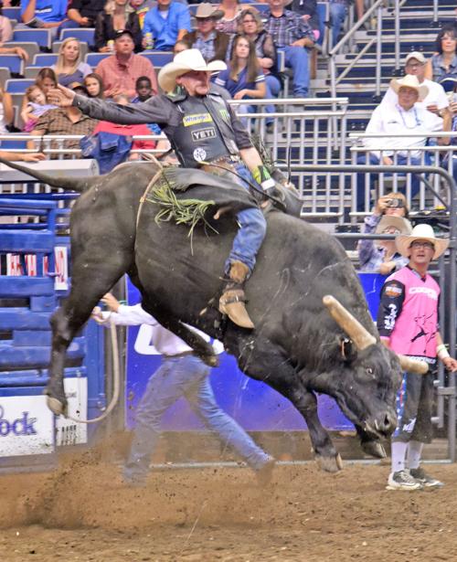 One ride nets $75,000 for Montana cowboy | Local Sports | bismarcktribune.com